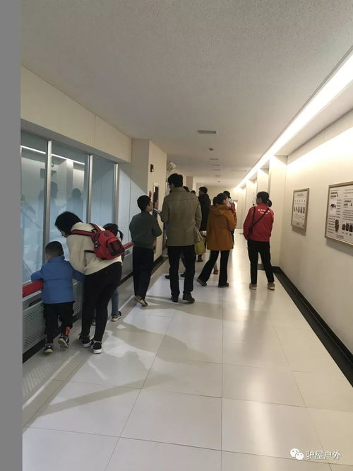 養(yǎng)樂多工廠探游 揭秘100億活性菌與健康住宿的雙重體驗